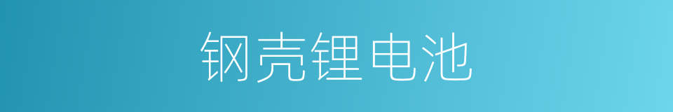 钢壳锂电池的同义词