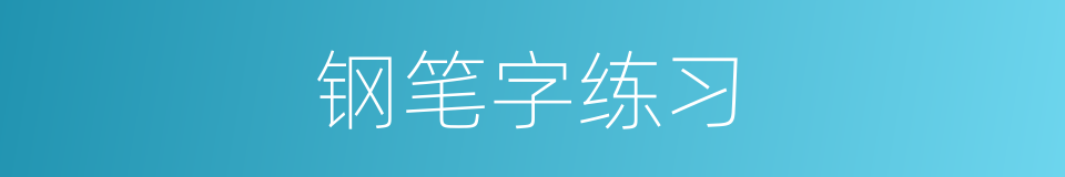 钢笔字练习的同义词