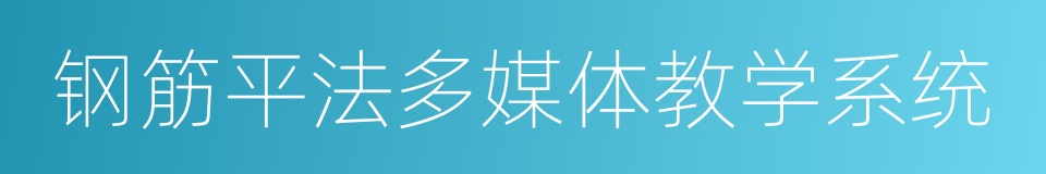 钢筋平法多媒体教学系统的同义词