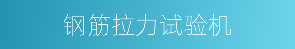 钢筋拉力试验机的同义词