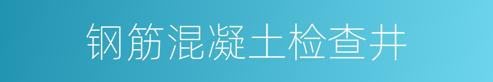 钢筋混凝土检查井的同义词