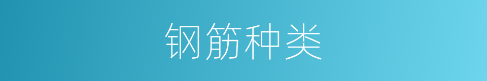 钢筋种类的同义词
