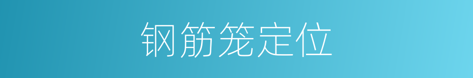 钢筋笼定位的同义词