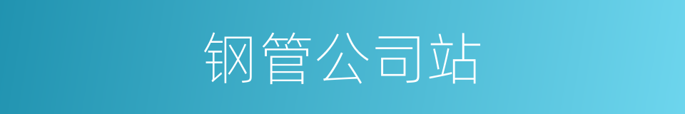 钢管公司站的同义词