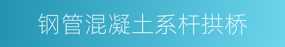 钢管混凝土系杆拱桥的同义词
