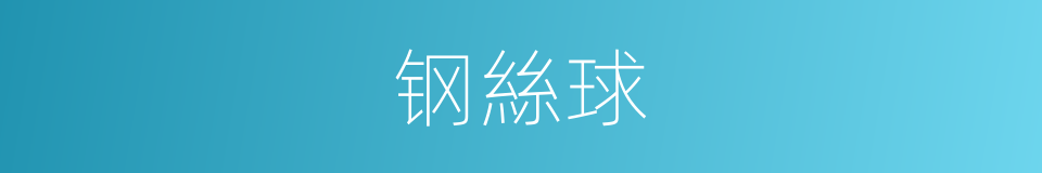 钢絲球的同義詞