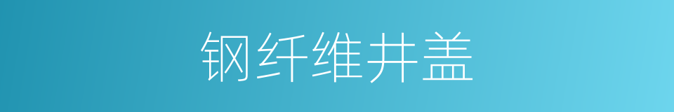 钢纤维井盖的意思