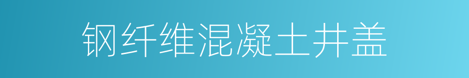 钢纤维混凝土井盖的同义词