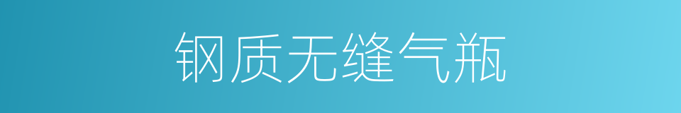 钢质无缝气瓶的同义词