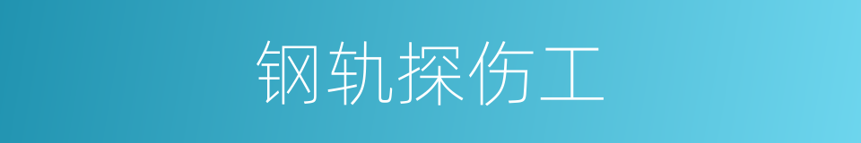 钢轨探伤工的同义词