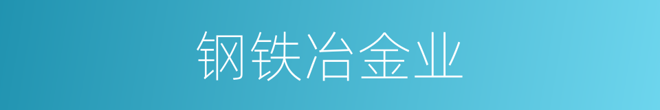 钢铁冶金业的同义词