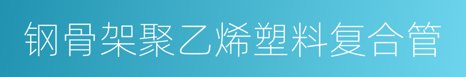 钢骨架聚乙烯塑料复合管的同义词