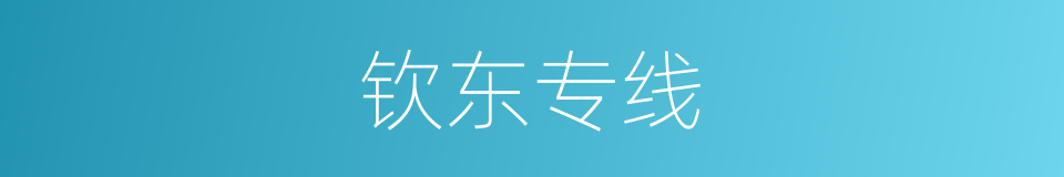 钦东专线的同义词