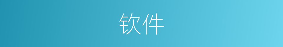 钦件的意思