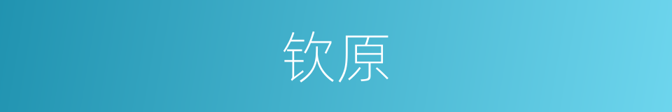 钦原的同义词