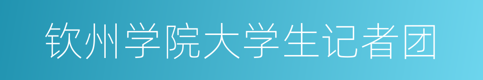 钦州学院大学生记者团的同义词