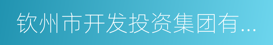 钦州市开发投资集团有限公司的同义词