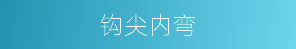 钩尖内弯的同义词