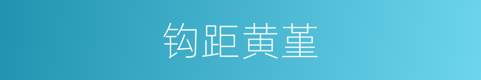 钩距黄堇的同义词