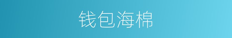 钱包海棉的意思