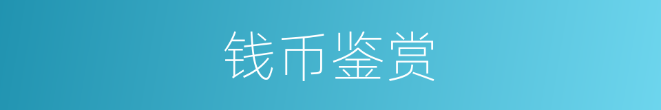 钱币鉴赏的同义词