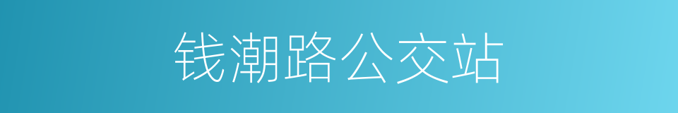 钱潮路公交站的同义词