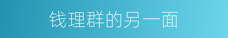 钱理群的另一面的同义词