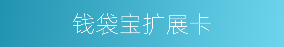 钱袋宝扩展卡的同义词