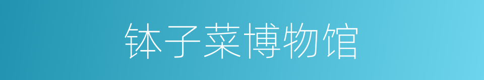 钵子菜博物馆的同义词