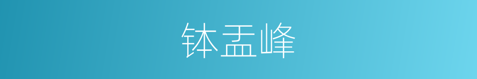 钵盂峰的同义词