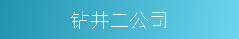 钻井二公司的同义词