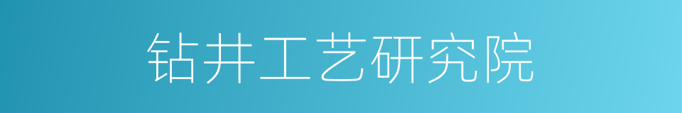 钻井工艺研究院的同义词