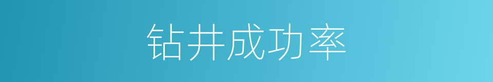 钻井成功率的同义词