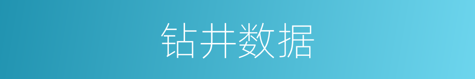 钻井数据的同义词