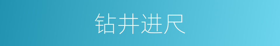 钻井进尺的同义词