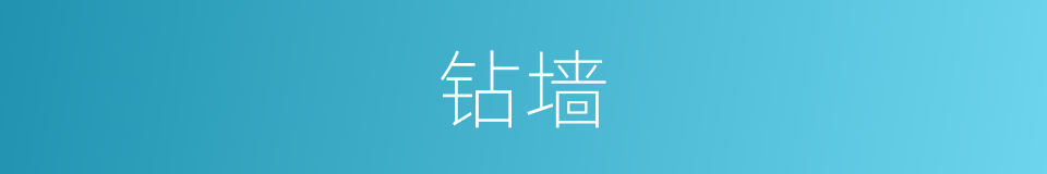 钻墙的同义词