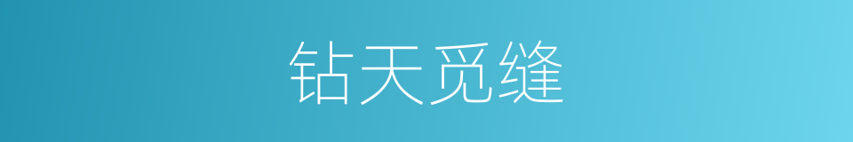 钻天觅缝的意思