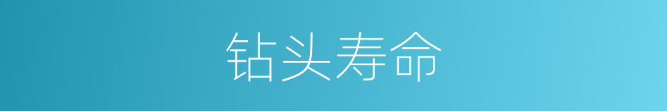 钻头寿命的同义词