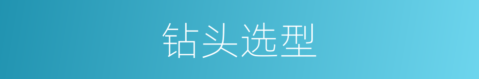 钻头选型的同义词