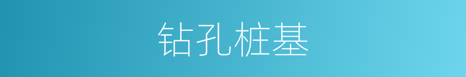 钻孔桩基的同义词