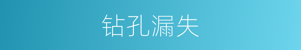钻孔漏失的同义词