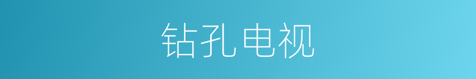 钻孔电视的同义词