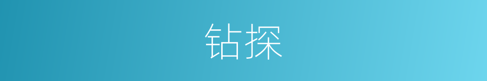 钻探的意思