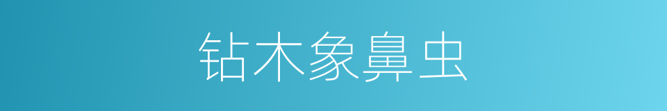 钻木象鼻虫的同义词