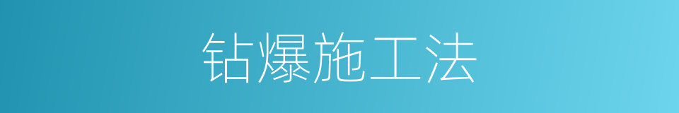钻爆施工法的同义词