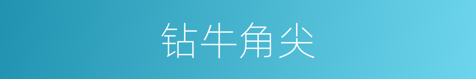 钻牛角尖的意思