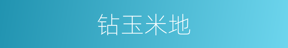 钻玉米地的同义词