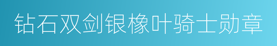 钻石双剑银橡叶骑士勋章的同义词