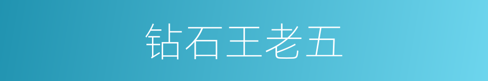 钻石王老五的意思