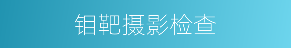 钼靶摄影检查的同义词